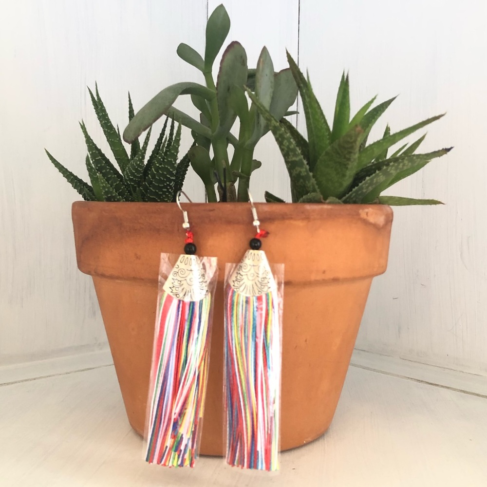 Mutlicolor Tassel Earrings